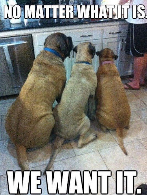 Funny Memes (32 pics) Funny Memes (32 pics)