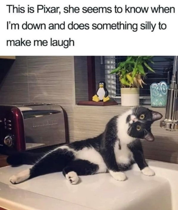 Kind Memes (31 pics) Kind Memes (31 pics)