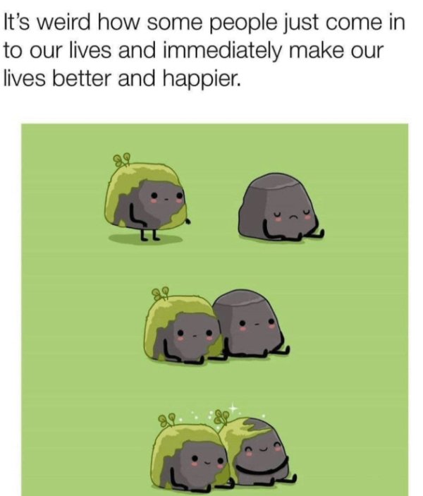 Kind Memes (31 pics) Kind Memes (31 pics)