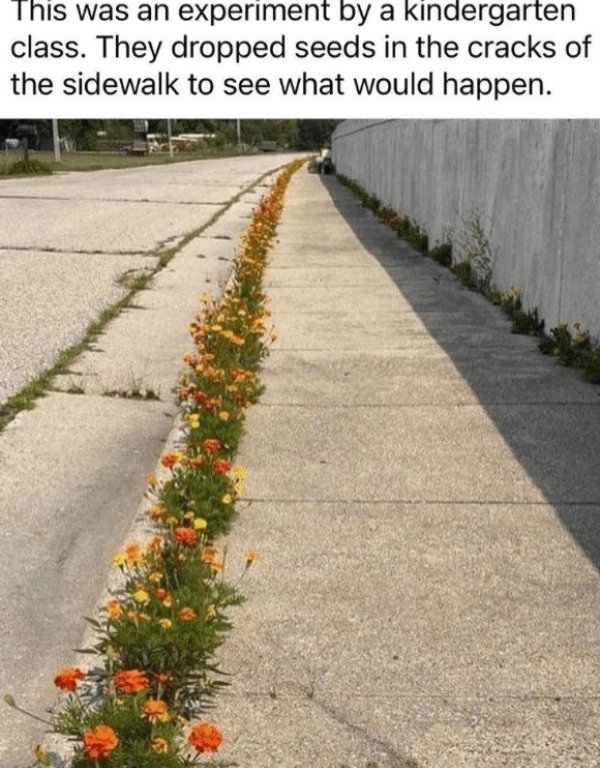 Kind Memes (31 pics) Kind Memes (31 pics)