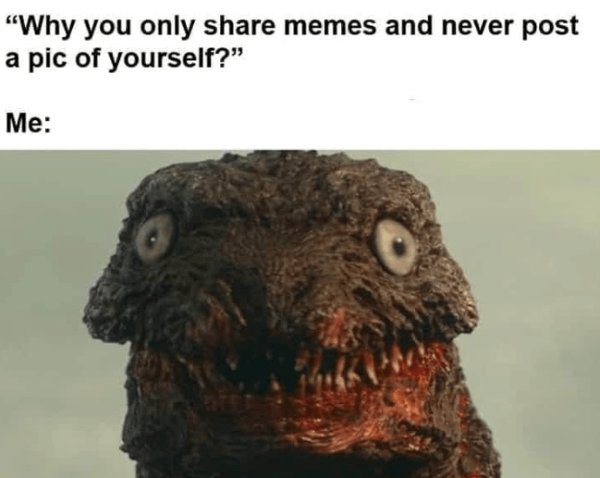 Memes For Introverts (35 pics) Memes For Introverts (35 pics)