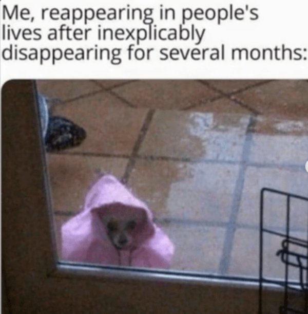 Memes For Introverts (35 pics) Memes For Introverts (35 pics)
