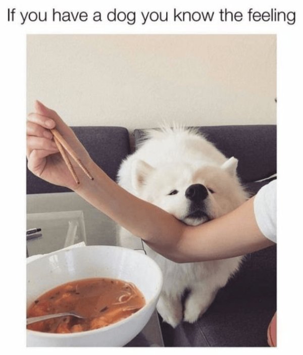 Kind Memes (31 pics) Kind Memes (31 pics)