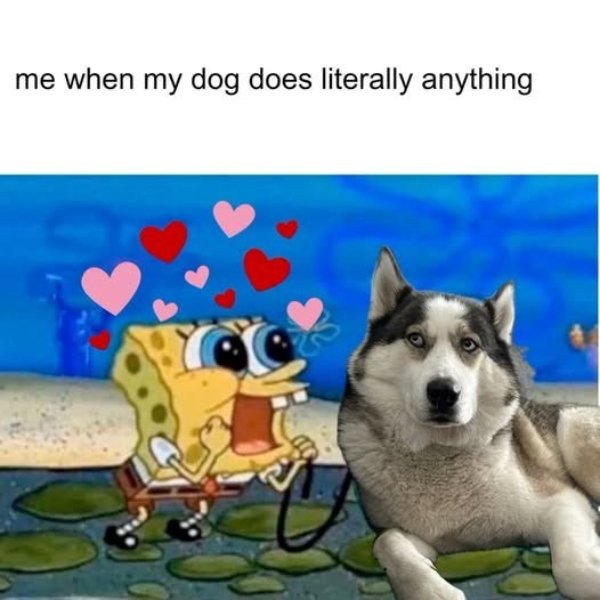 Kind Memes (31 pics) Kind Memes (31 pics)