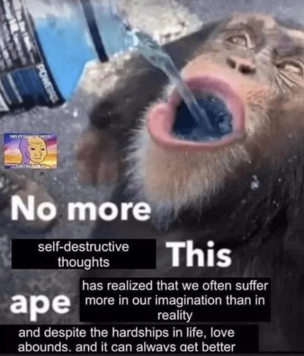 Kind Memes (31 pics) Kind Memes (31 pics)