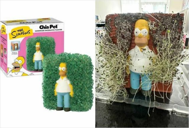 Online Shopping Disasters (16 pics) Online Shopping Disasters (16 pics)