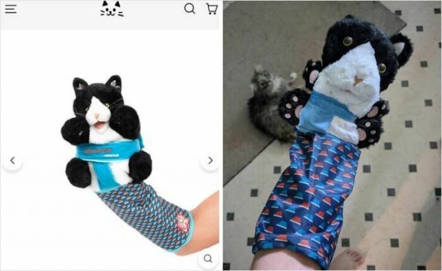 Online Shopping Disasters (16 pics) Online Shopping Disasters (16 pics)
