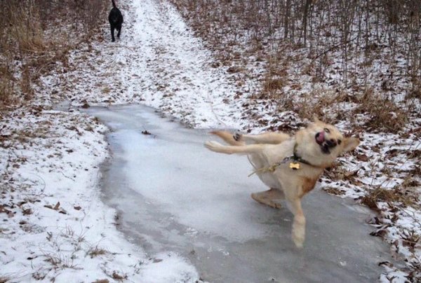 Epic Fails (31 pics) Epic Fails (31 pics)