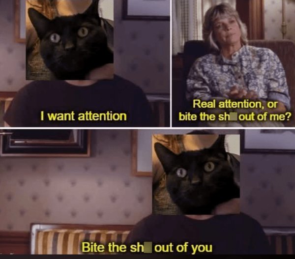 Memes And Photos For Cats Lovers (28 pics) Memes And Photos For Cats Lovers (28 pics)