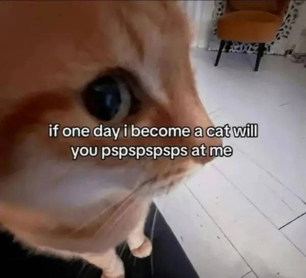Random Memes (32 pics) Random Memes (32 pics)