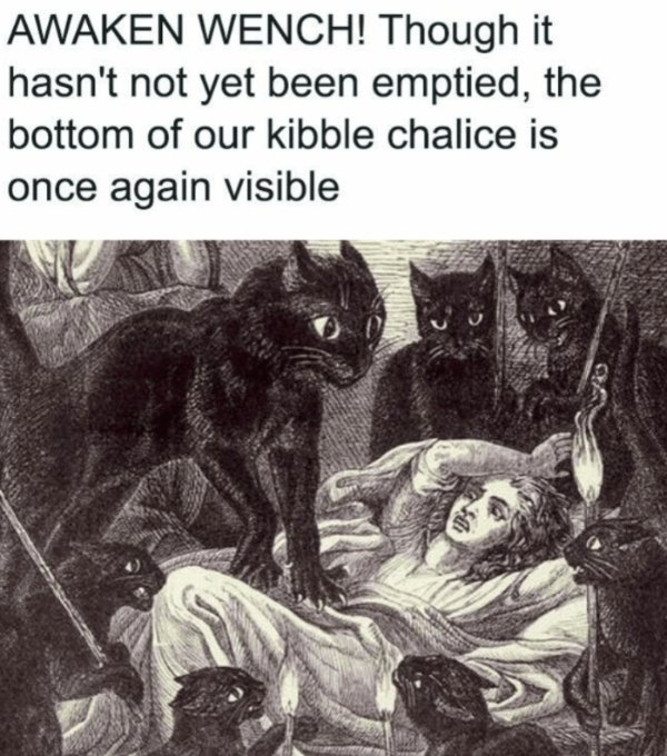 Memes And Photos For Cats Lovers (28 pics) Memes And Photos For Cats Lovers (28 pics)