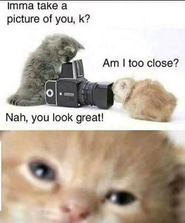 Memes And Photos For Cats Lovers (28 pics) Memes And Photos For Cats Lovers (28 pics)