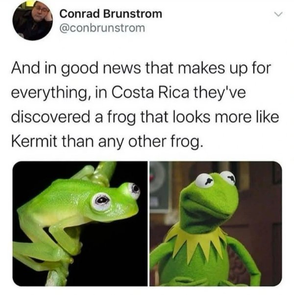 Random Memes (32 pics) Random Memes (32 pics)