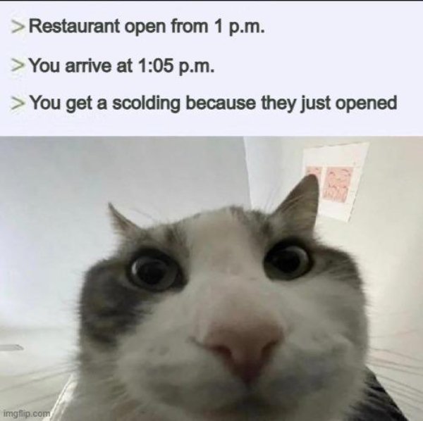 Truthful Jokes (28 pics) Truthful Jokes (28 pics)