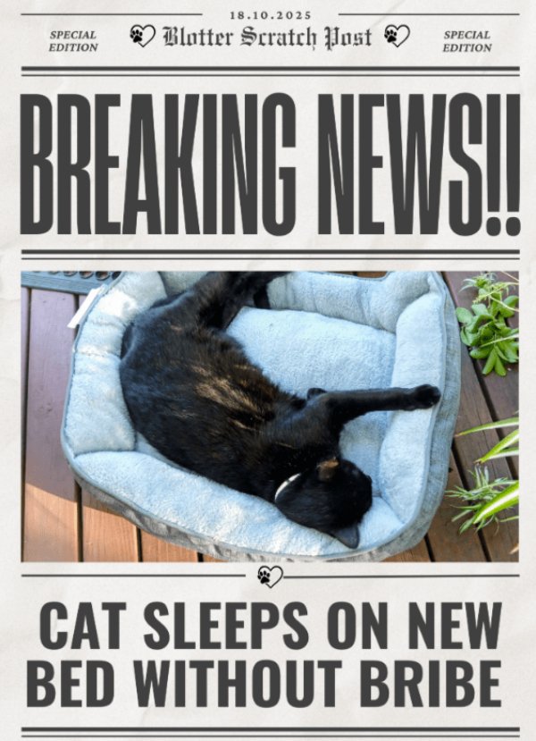 Memes And Photos For Cats Lovers (28 pics) Memes And Photos For Cats Lovers (28 pics)