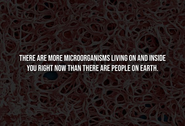 Creepy Facts (15 pics) Creepy Facts (15 pics)