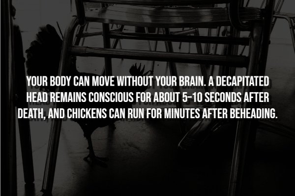Creepy Facts (15 pics) Creepy Facts (15 pics)