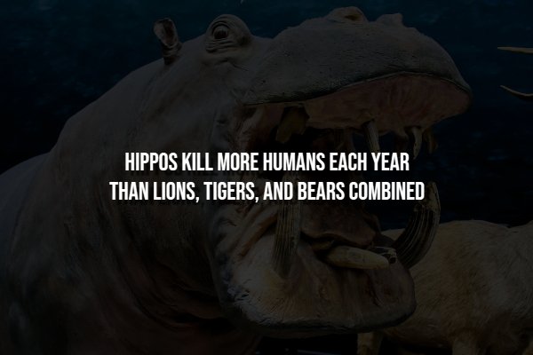 Creepy Facts (15 pics) Creepy Facts (15 pics)