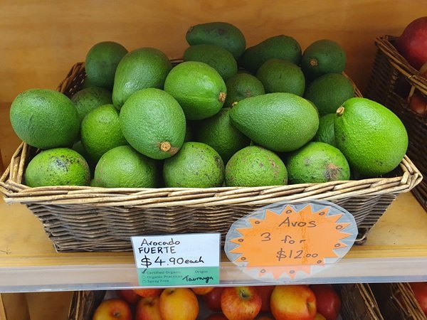 Interesting Facts (17 pics)