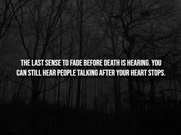 Creepy Facts (15 pics) Creepy Facts (15 pics)