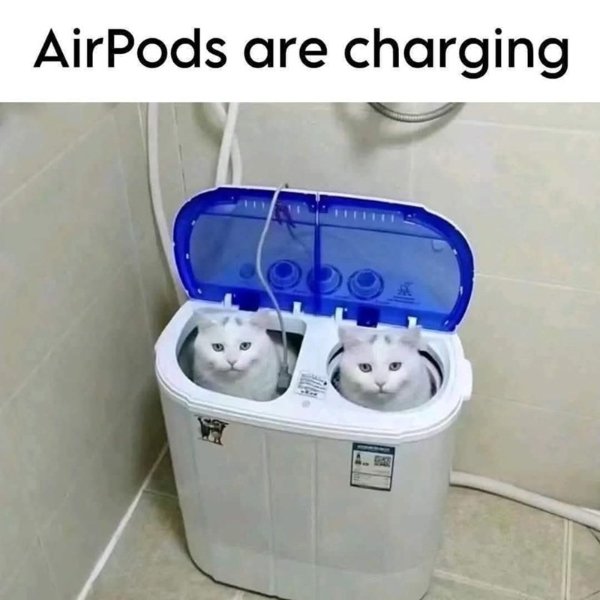 Memes And Photos For Cats Lovers (28 pics) Memes And Photos For Cats Lovers (28 pics)