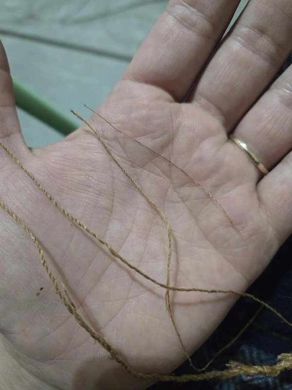 Atmospheric Bushcraft Photos (19 pics)