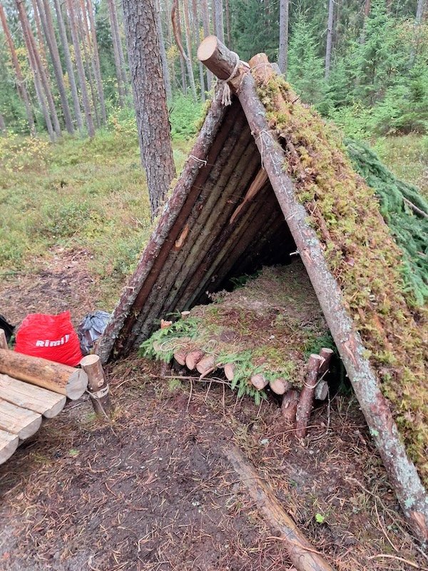 Atmospheric Bushcraft Photos (19 pics)