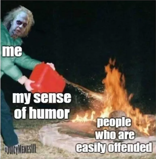 Truthful Memes (35 pics) Truthful Memes (35 pics)