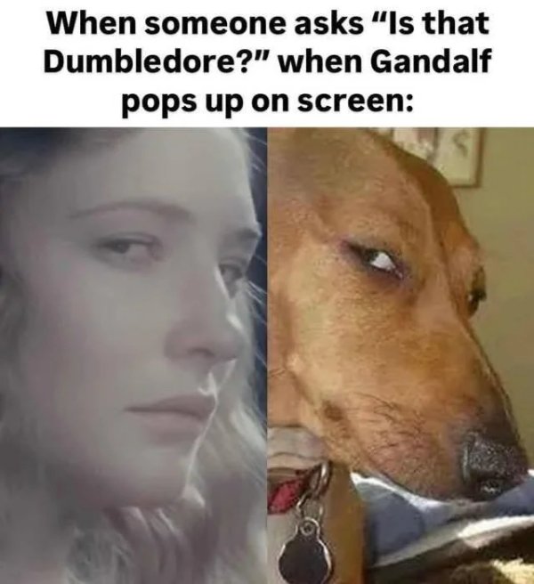 Memes For ''The Lord Of The Rings'' Fans (26 pics) Memes For ''The Lord Of The Rings'' Fans (26 pics)