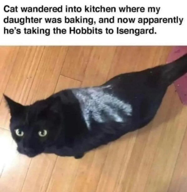 Memes For ''The Lord Of The Rings'' Fans (26 pics) Memes For ''The Lord Of The Rings'' Fans (26 pics)