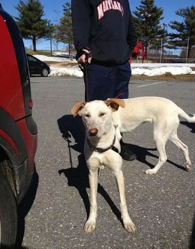 Optical Illusions (21 pics) Optical Illusions (21 pics)