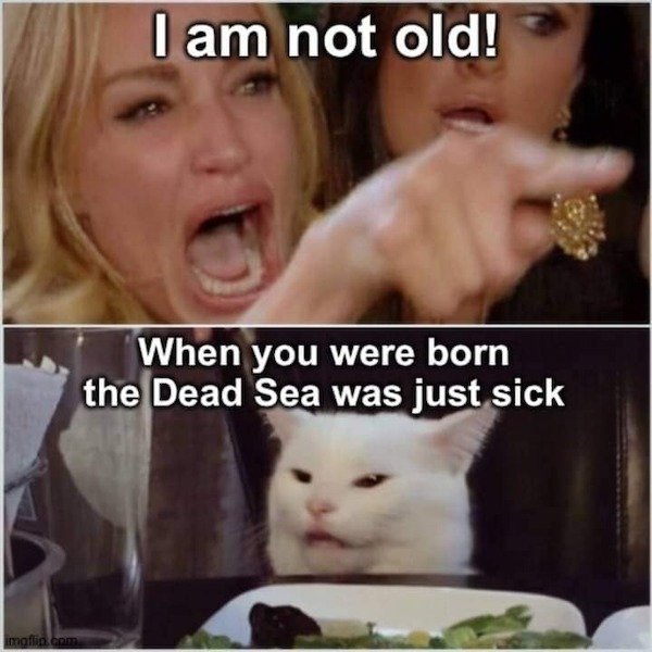 Truthful Memes (35 pics) Truthful Memes (35 pics)