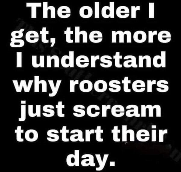 Truthful Memes (35 pics) Truthful Memes (35 pics)