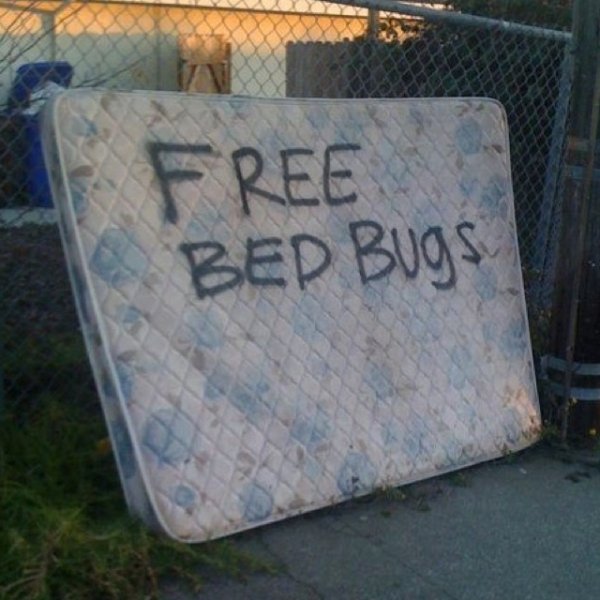 Financial Memes (25 pics) Financial Memes (25 pics)