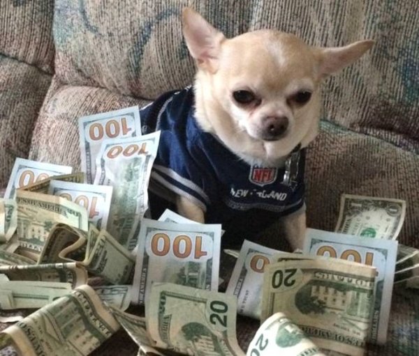 Financial Memes (25 pics) Financial Memes (25 pics)