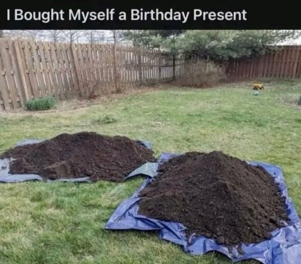 Financial Memes (25 pics) Financial Memes (25 pics)