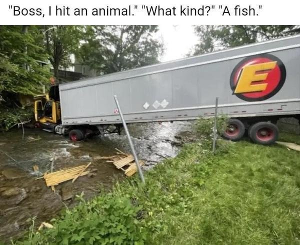 Funny Memes (35 pics) Funny Memes (35 pics)