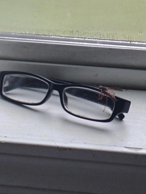 Bad Days Happen (27 pics)