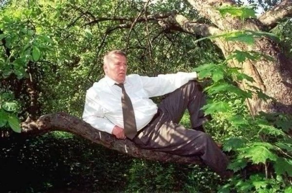 What Is Going On Here? (26 pics) What Is Going On Here? (26 pics)