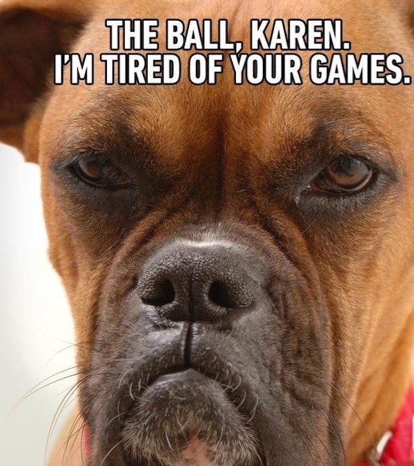 Funny Memes (35 pics) Funny Memes (35 pics)