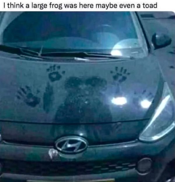 Funny Memes (35 pics) Funny Memes (35 pics)