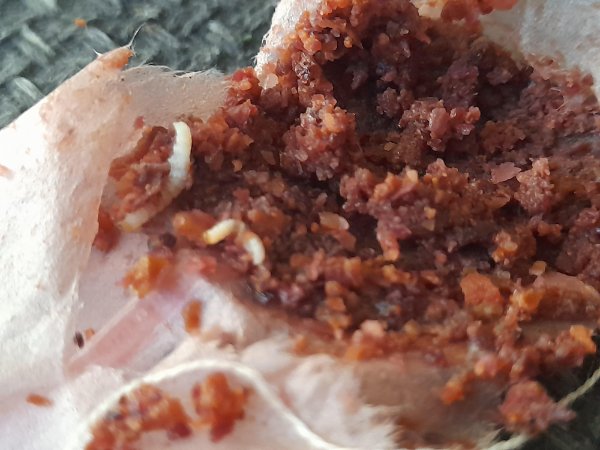 Bad Days Happen (27 pics)