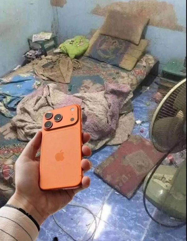 What Is Going On Here? (26 pics) What Is Going On Here? (26 pics)