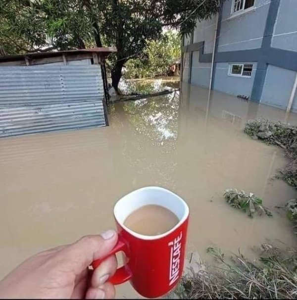 What Is Going On Here? (26 pics) What Is Going On Here? (26 pics)