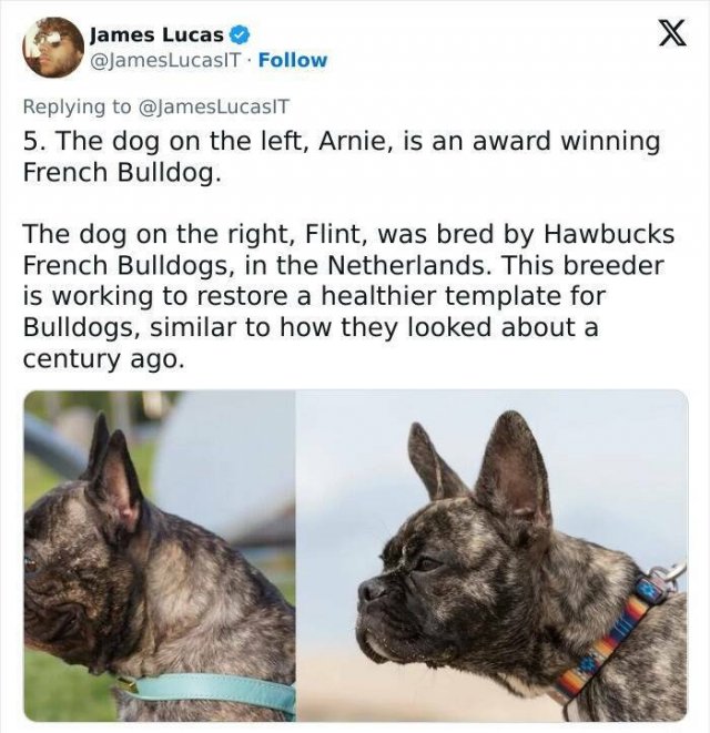 Incredible Facts (17 pics)