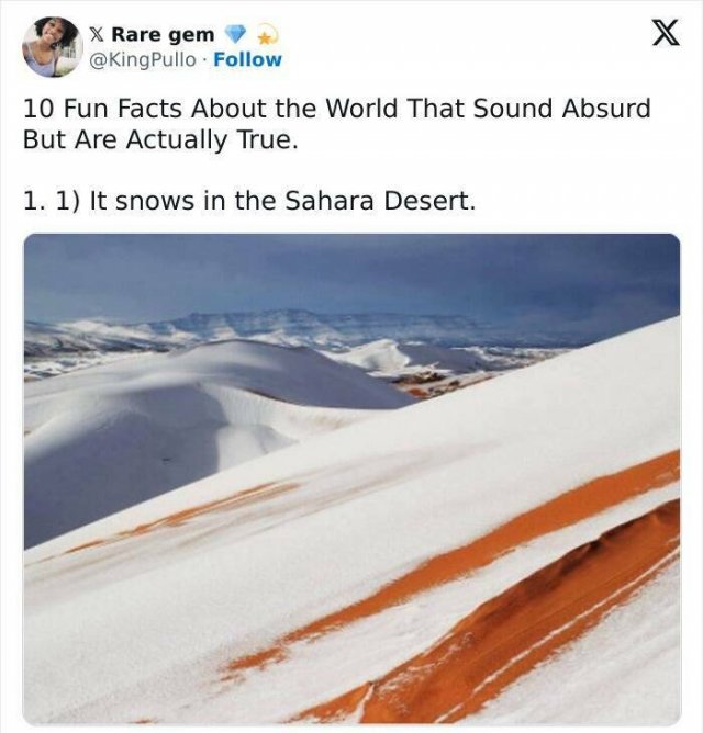 Incredible Facts (17 pics)