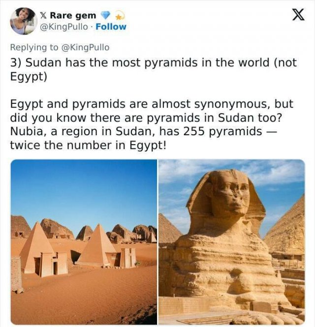 Incredible Facts (17 pics)