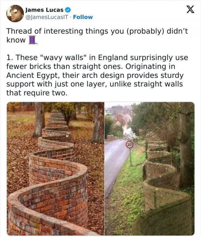 Incredible Facts (17 pics)