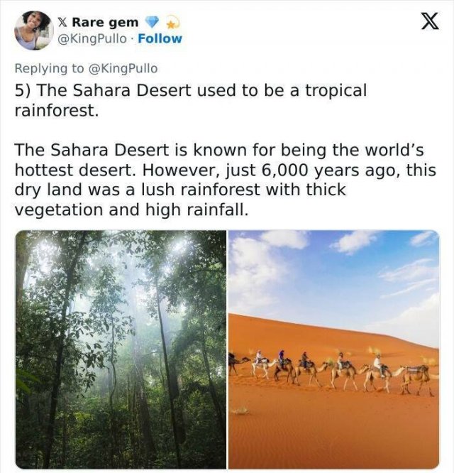 Incredible Facts (17 pics)