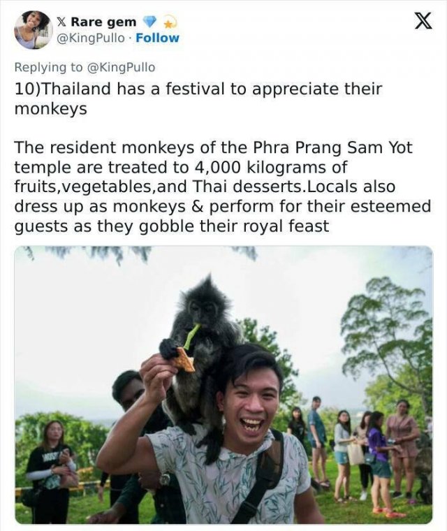 Incredible Facts (17 pics)